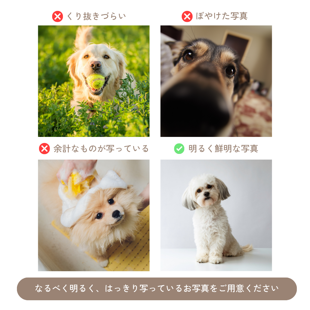 【写真】ウチのコ クッション|写真から作る オーダーメイド ペットクッション