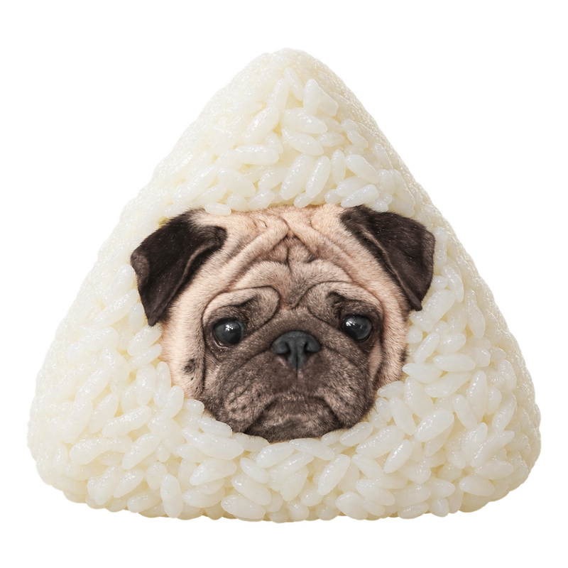 ごはん