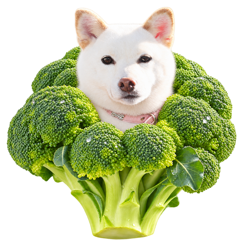 野菜